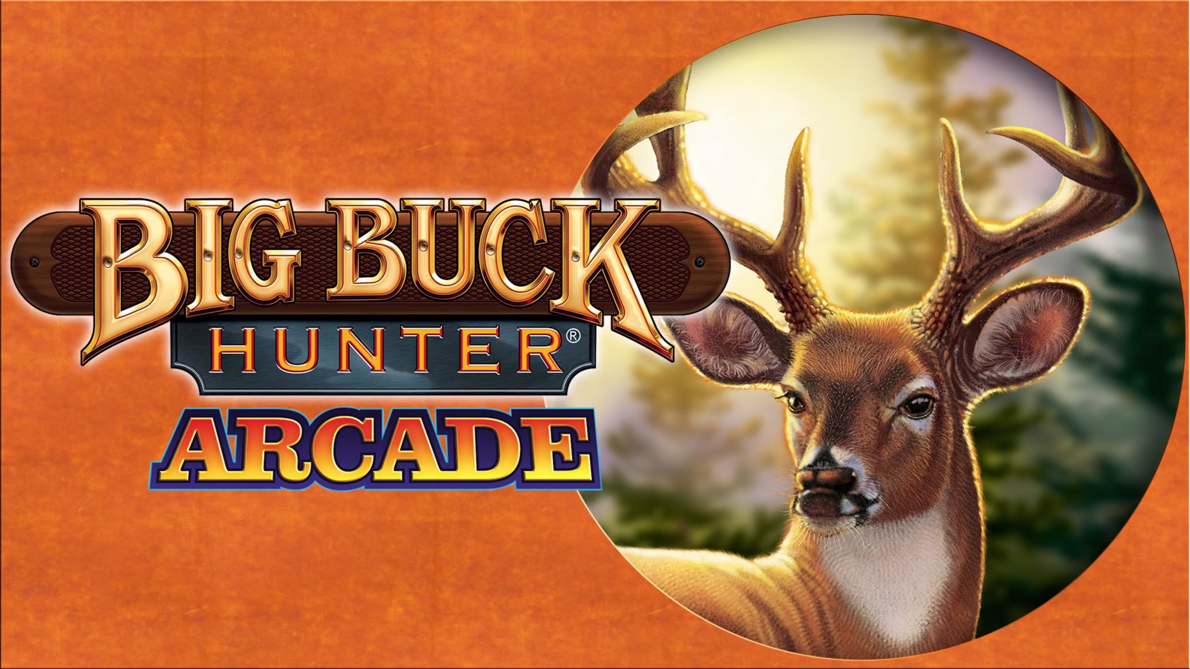 big buck